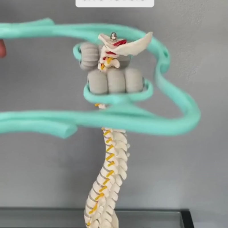 NeckEase™ Manual Massager